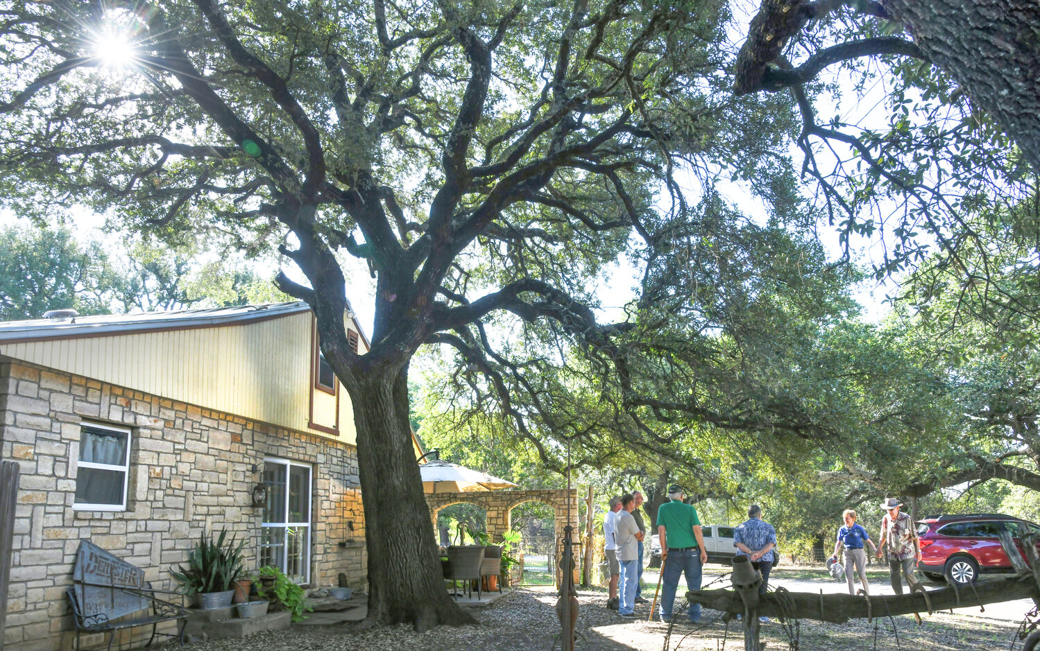 Granbury trees gets recognized by Texas Historic Tree Coalition Hood